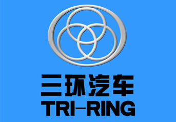 湖北三(sān)環車橋(qiáo)案例