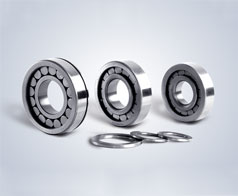 圓柱(zhu)滾子軸承--鷹(ying)牌軸承