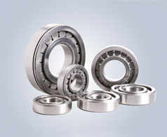 圓柱(zhù)滾子軸承-鷹(yīng)牌軸承